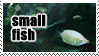 green envelope with eyes and legs;